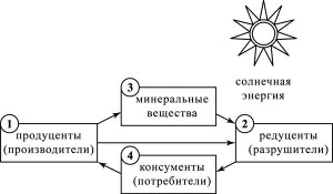 ����� ����� � ����������� �������� � ������� �������� ���������, ������� ������������ �� ������� ��������?