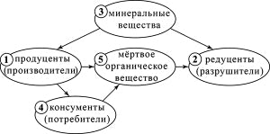 �� ����� ��������� ����������� ��������� ����������� ���������� ����������.