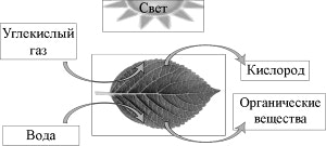 �� �������������� ���� ����� ������ ������������ ���� �� ��������� ����������������� ��������.