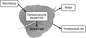 �� �������������� ���� ������� ������ ������������ � ���� ����� ���� �� ��������� ����������������� ��������.