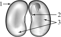 ����������� ������ ������ � �������.