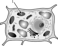 ��������� ����������� ������������ ������ ��� ����������� � ������� �������.