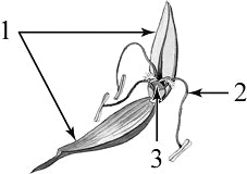 ����������� ����������� ������ � ��������� �������.