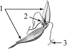 ����������� ����������� ������ � ��������� �������.