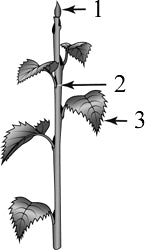 ����������� ����������� ������ � ��������� �������.