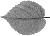 ���� ����������.