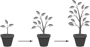 �� �������������� ���� ������� ������ ������������ � ���� ����� ���� �� ��������� ����������������� ��������.