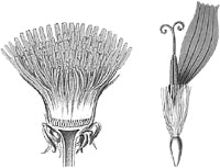 ��������� ������������� (������).