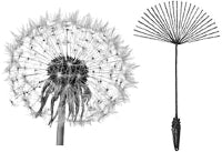 ��������� ������������� (����).