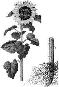 ������������.