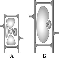 ������������ ������.