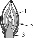 ����������� ����������� ������������ ����� � ��������� �������.