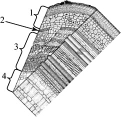 ���������� �������� ������ ��� �����������.