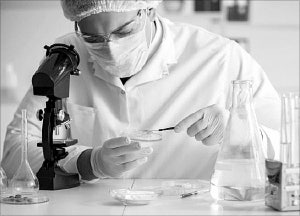 ������ � �����������