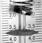 ����������.