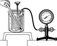 ������������� �������, � ������� ��� ����������� ������� ��������� ������, �������� ���������, �������� � ����� � �������� �����.