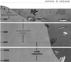 ��������� ������� ����������� ������� �������� � 10 ���. ����� �� ������������ ������ ������� ��� ������������ ���� ������� ���������� ����.